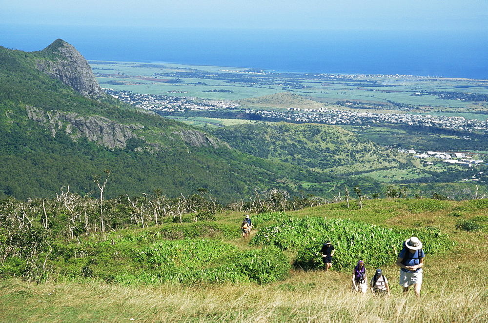 City from Le Pouce Peak, Port Louis, Mauritius, Indian Ocean, Africa