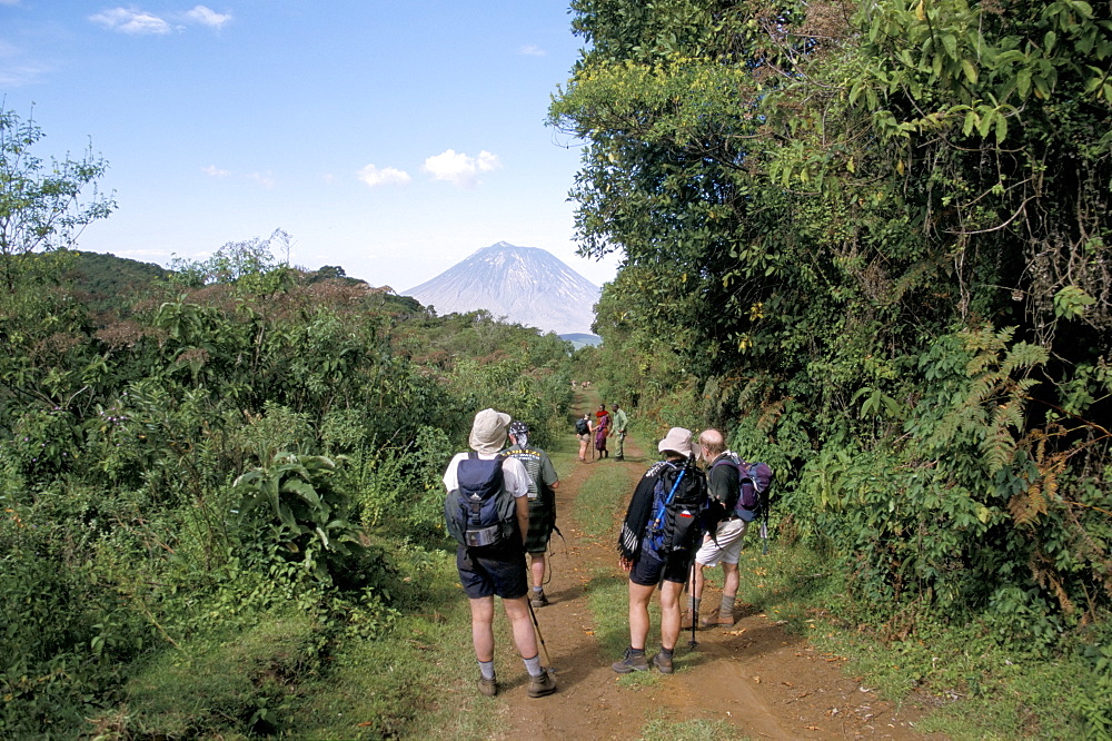 Trekkers and Oldonyo Lengai volcano, Ngorongoro Conservation Area, Tanzania, East Africa, Africa