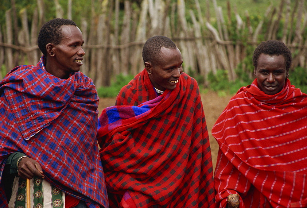 Masai men chanting and watching dance, Ngorongoro Conservation Area, Tanzania, East Africa, Africa