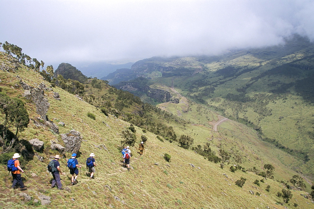 Trekking to Chenek, Simien Mountains National Park, UNESCO World Heritage Site, Ethiopia, Africa