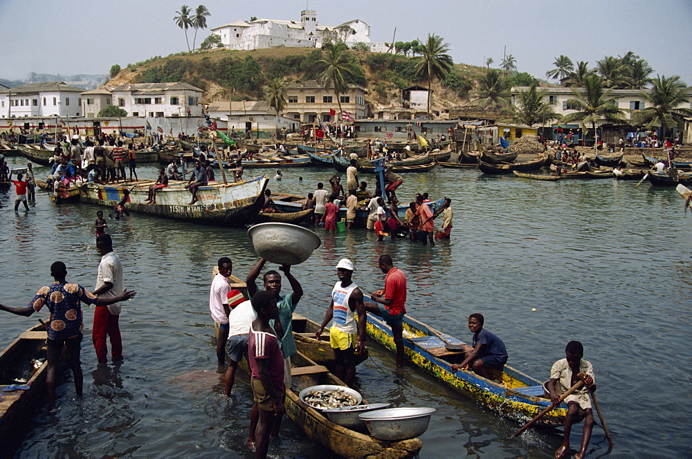 Fishermen bringing catch ashore, Elmina, Ghana, West Africa, Africa