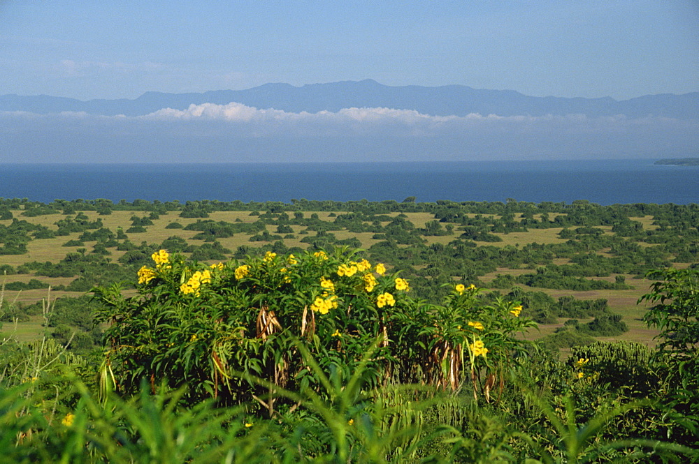 Lake Edward in background, Queen Elizabeth National Park, Uganda, East Africa, Africa