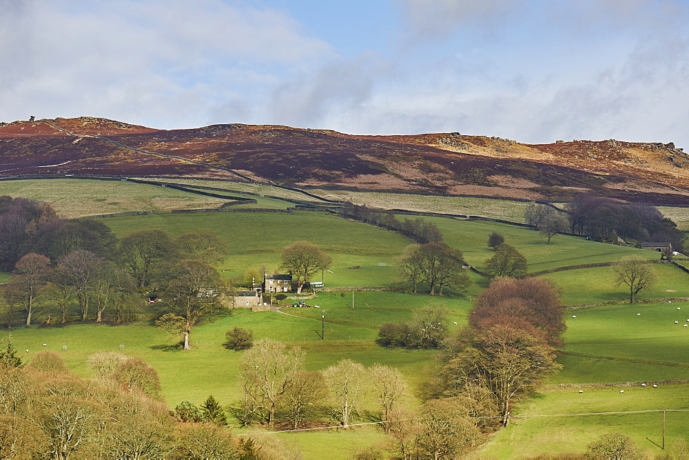 Derwent Valley, Peak District National Park, Derbyshire, England, United Kingdom, Europe