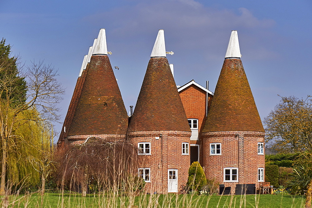 Oast houses, originally used to dry hops in beer-making, converted into farmhouse accommodation at Hadlow, Kent, England, United Kingdom, Europe