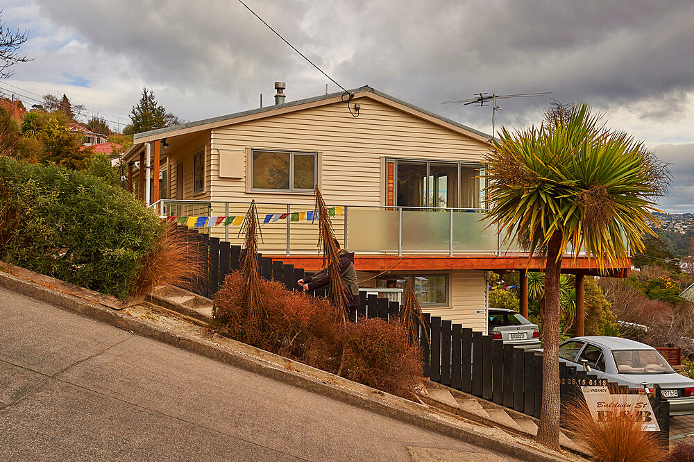 Baldwin Street, the world's steepest residential road with an average gradient of 1 in 5 and 350 metres long, Dunedin, Otago, South Island, New Zealand, Pacific