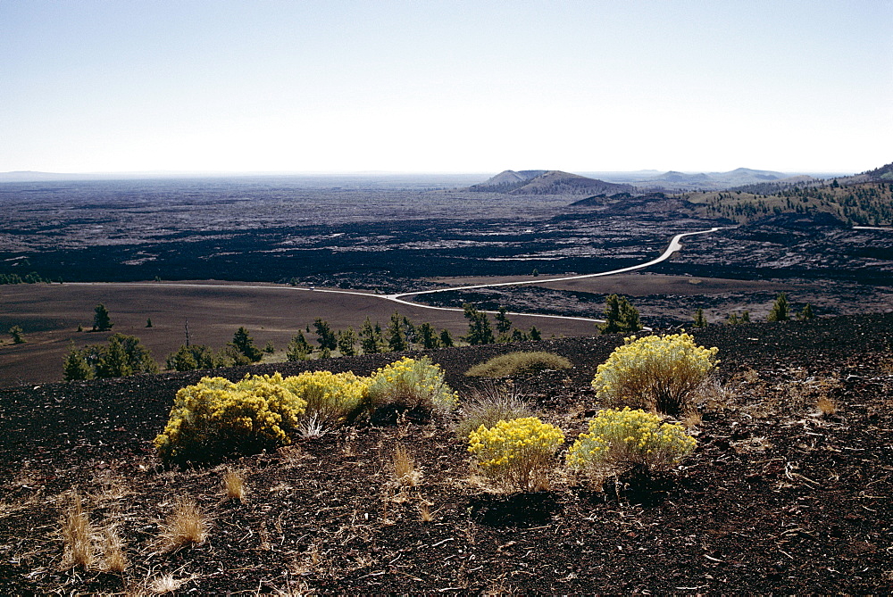 Yellow flowering plants and loop road seen from Inferno cone, Craters of the Moon National Monument, Idaho, United States of America (U.S.A.), North America