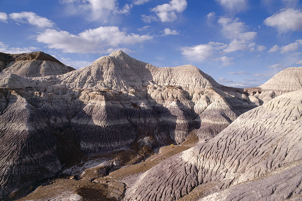 Blue Mesa, Petrified Forest National Park, Arizona, United States of America (U.S.A.), North America