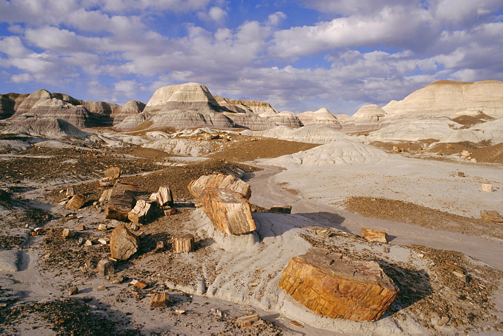 Blue Mesa, Petrified Forest National Park, Arizona, USA, North America