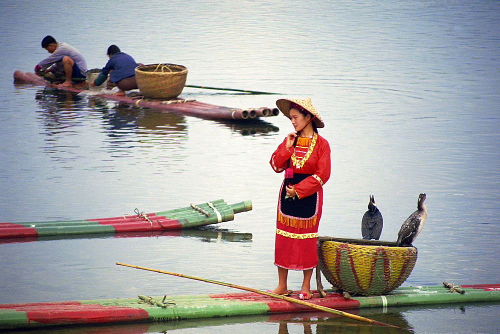 Woman in traditional dress on a raft with cormorants on the Lijiang (River Li) in Guanxi Province, China, Asia