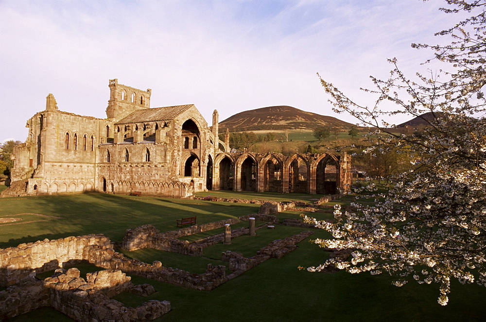 Melrose Abbey, Borders, Scotland, United Kingdom, Europe