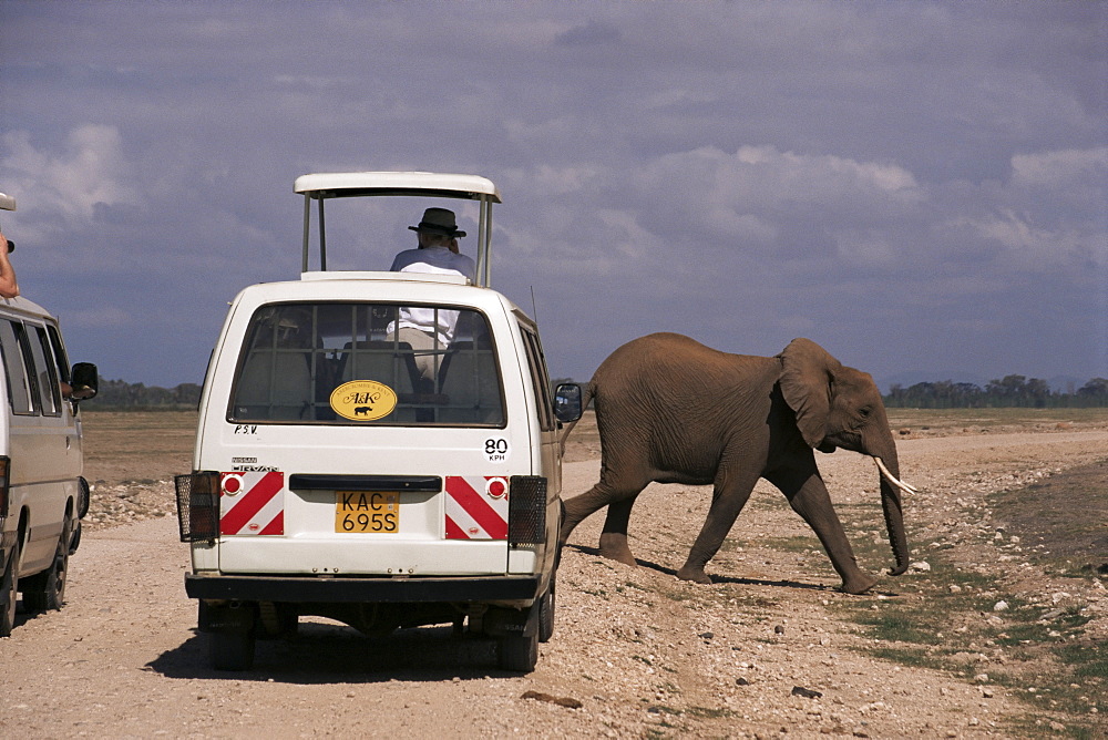 Tourist safari vehicle and elephant, Amboseli National Park, Kenya, East Africa, Africa