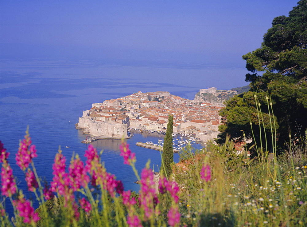 Walled city of Dubrovnik, Croatia, Europe