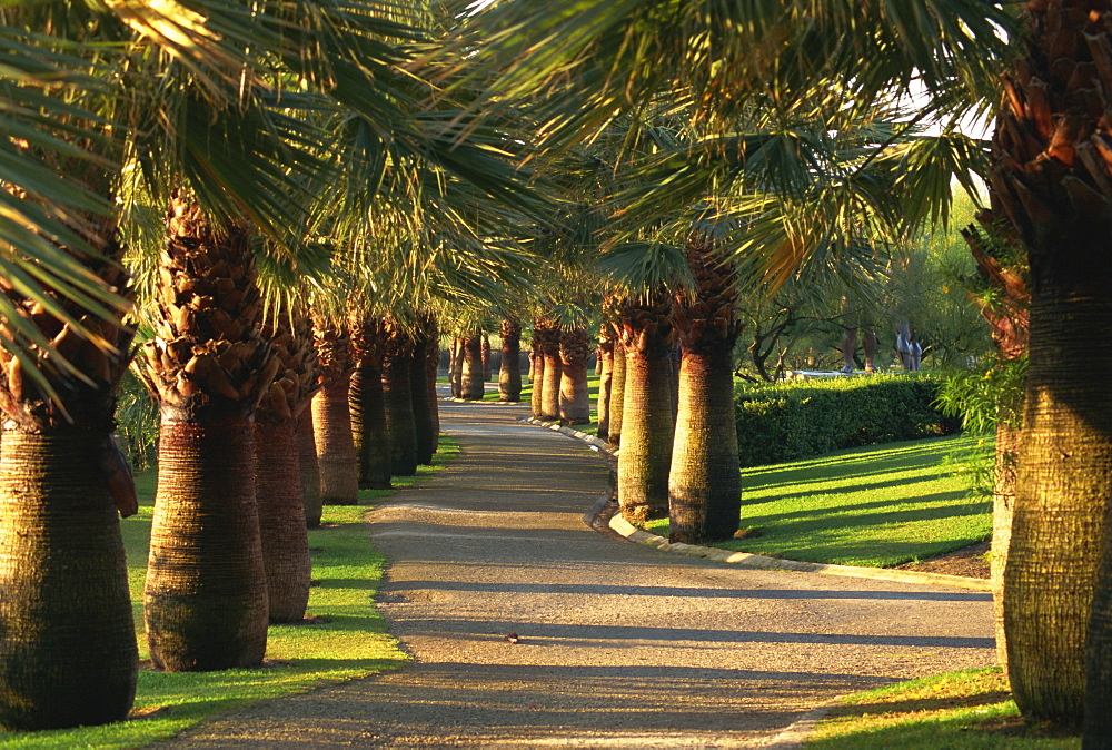 Parque de los Pueblos de America, Motril, Granada Province, Andalucia, Spain, Europe