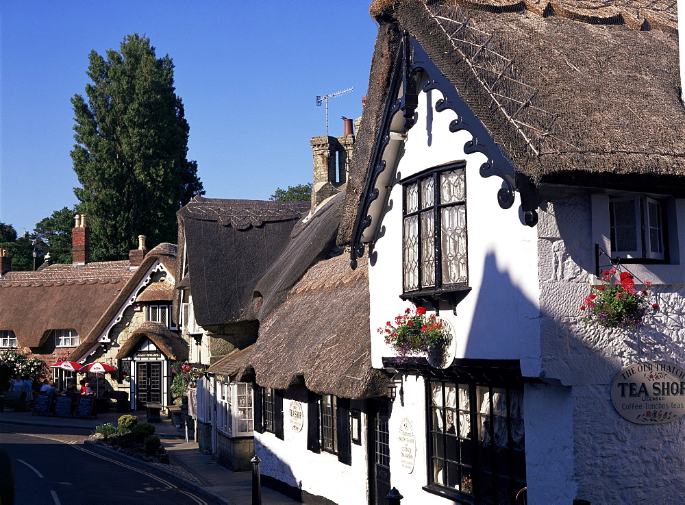 Old village, Shanklin, Isle of Wight, England, United Kingdom, Europe