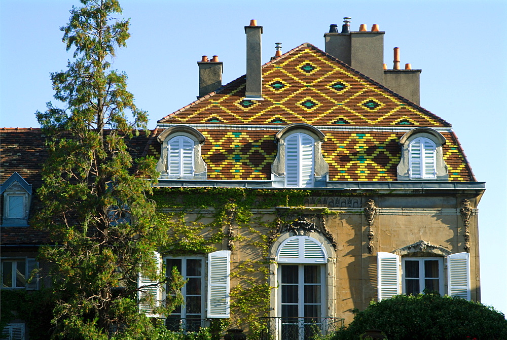 France, Cote d'Or, Dijon, house with traditional Burgundian tiled roof