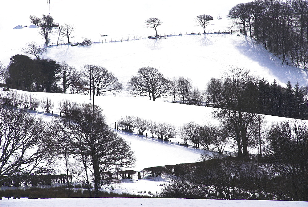 Winter landscape, Powys, Wales, United Kingdom, Europe