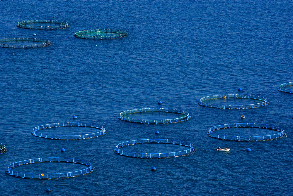 Fish farm, Costa Aguilera, Andalucia (Andalusia), Spain, Mediterranean, Europe