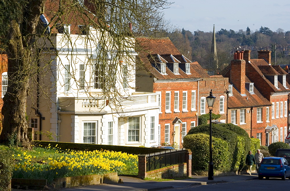 Farnham, Surrey, England, United Kingdom, Europe