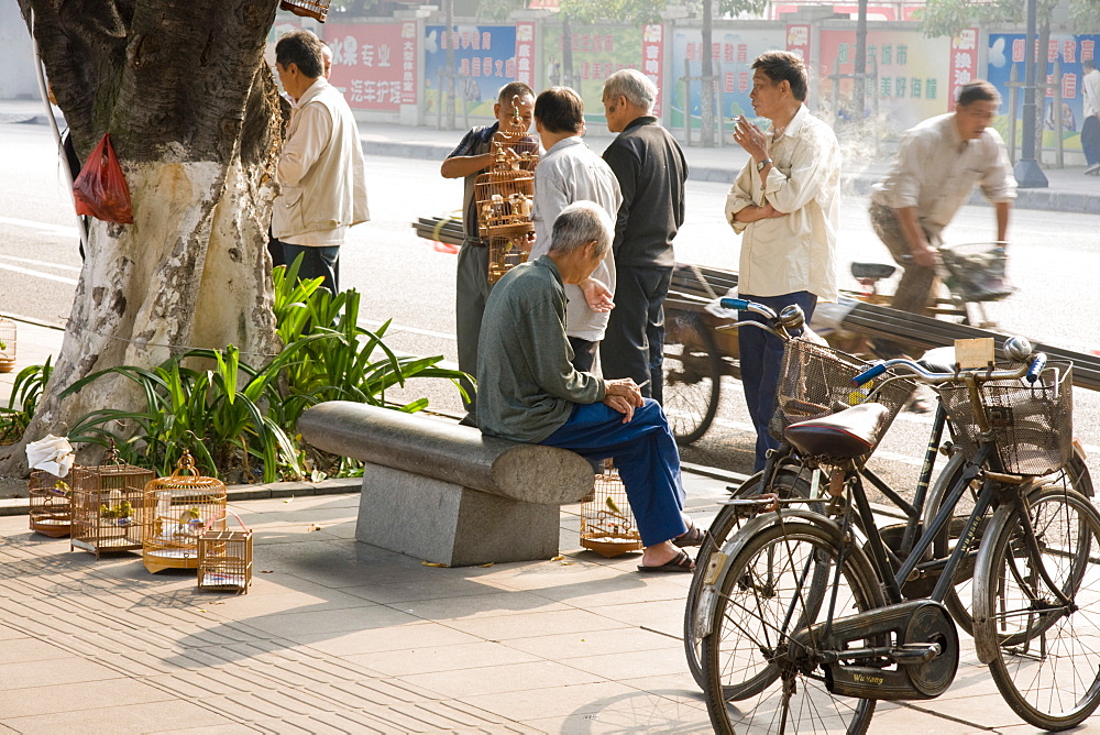 Bird fanciers on city street, Guangzhou (Canton), Guangdong, China, Asia