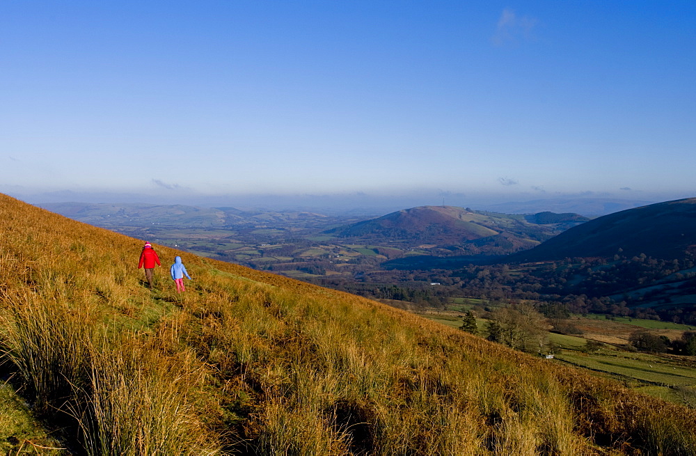 Abergwesyn common, Powys, Wales, United Kingdom, Europe