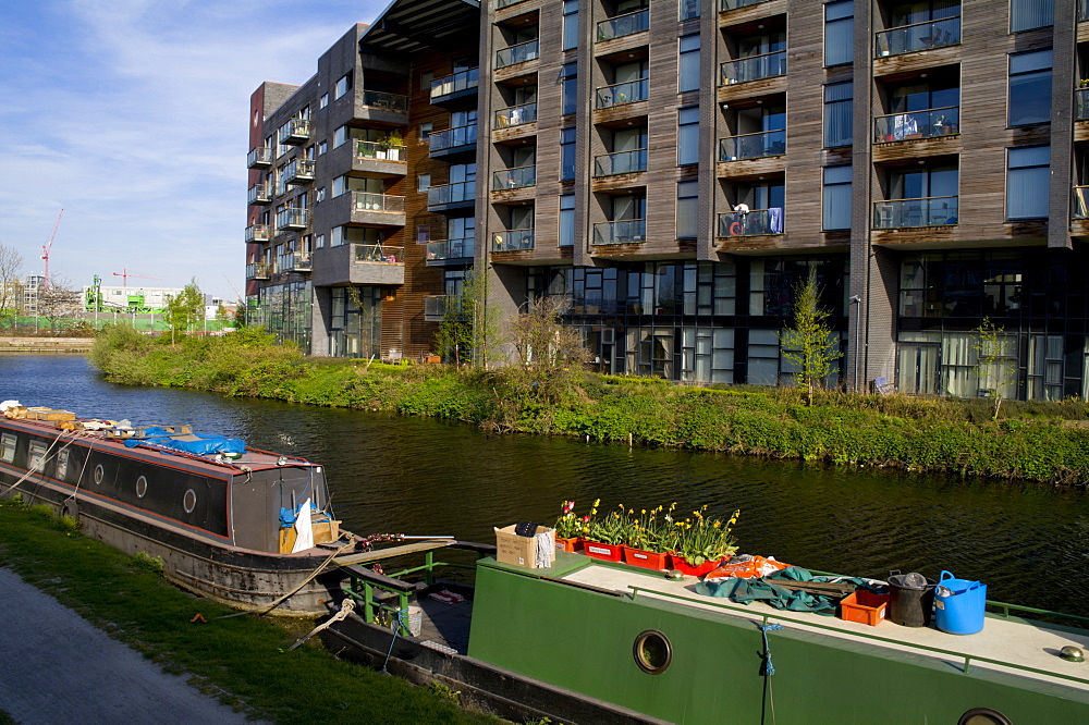 Stratford apartments, London, England, United Kingdom, Europe