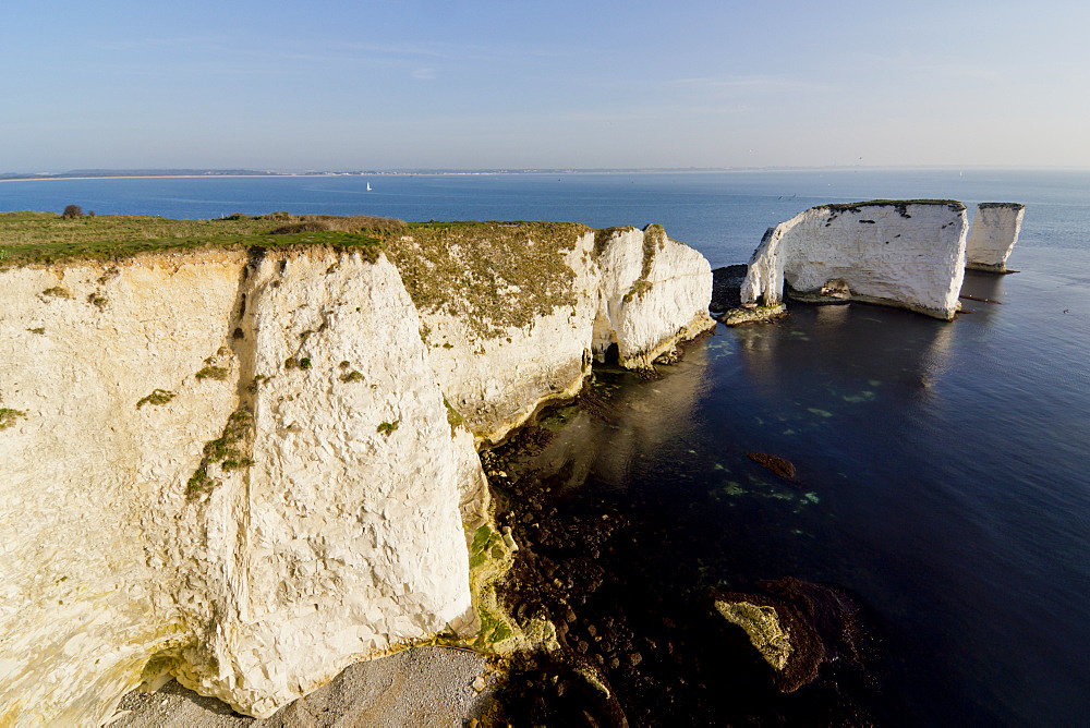 Studland Head, Old Harry Rocks, beginning of the Jurassic Coast, UNESCO World Heritage Site, Dorset, England, United Kingdom, Europe