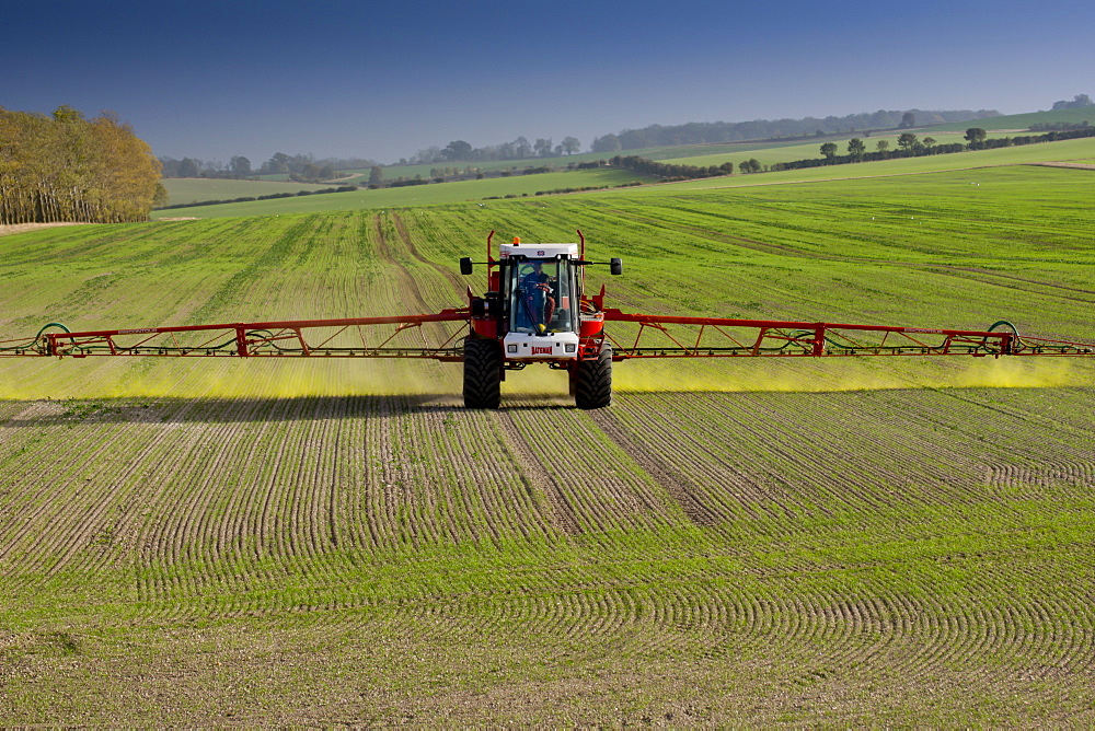 An agricultural machine spraying chemicals in Hertfordshire, England, United Kingdom, Europe