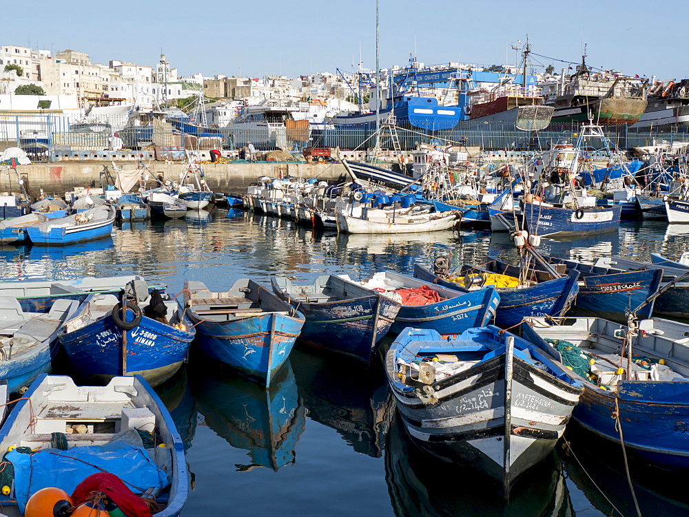 Fishing boats in port, Tangier, Morocco, North Africa, Africa