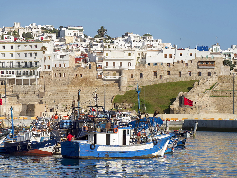 Fishing boats in port, Tangier, Morocco, North Africa, Africa