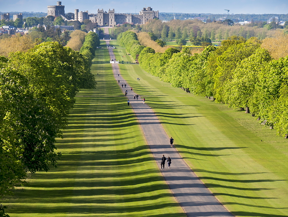 Windsor Castle from Long Walk, Windsor, Berkshire, England, United Kingdom, Europe