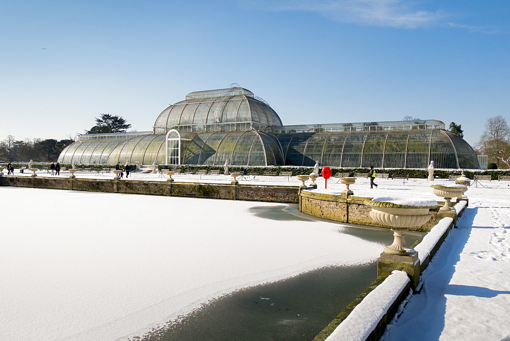 Palm House in winter, Kew Gardens, UNESCO World Heritage Site, London, England, United Kingdom, Europe