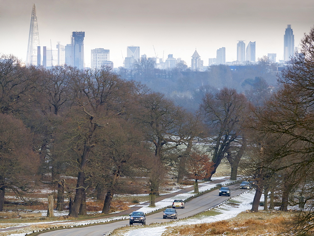 City skyline from Richmond Park, London, England, United Kingdom, Europe