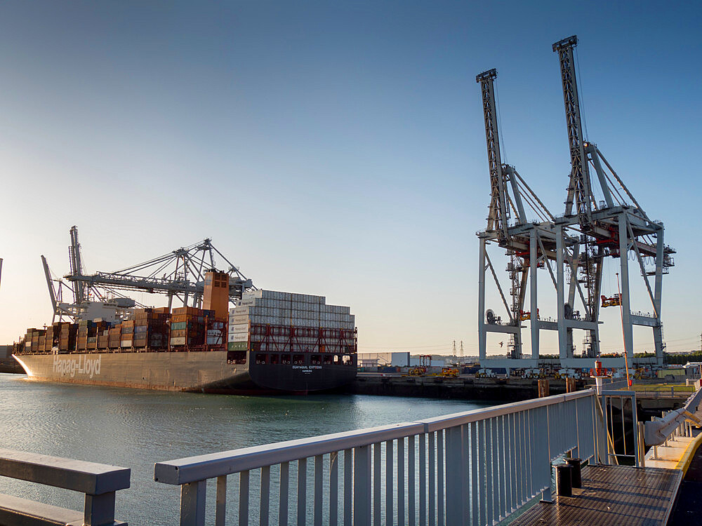 Port area of Le Havre showing heavy lift dock cranes and container ship, Le Havre, Normandy, France, Europe