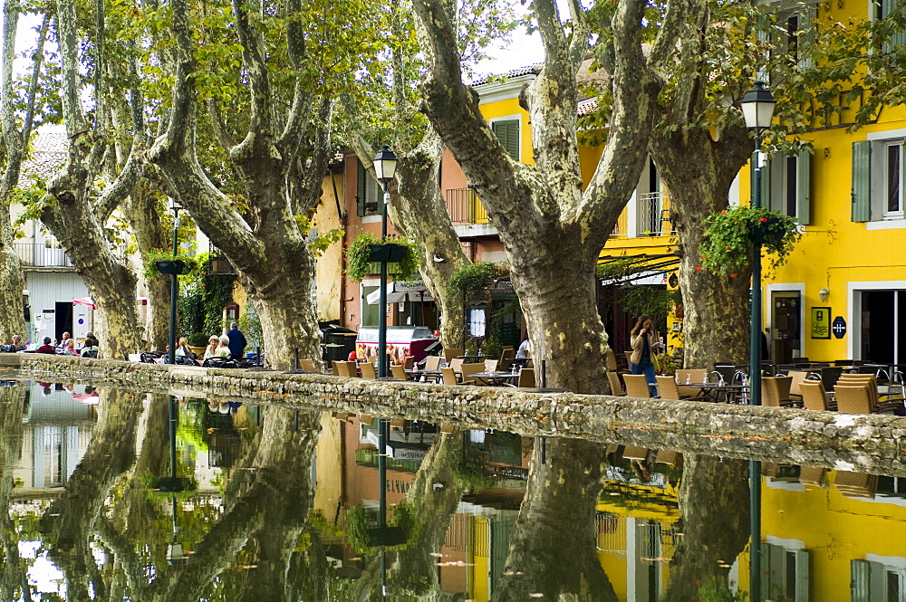 Cucuran, Provence, Vaucluse, France, Europe