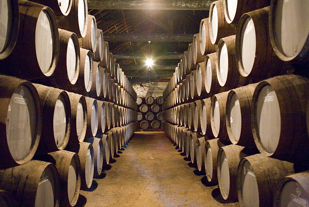 Traditional port barrels in which tawny port is maturing, in cellars of port lodge Ramos Pinto, Av. Ramos Pinto, Vila Nova de Gaia, Oporto, Portugal, Europe