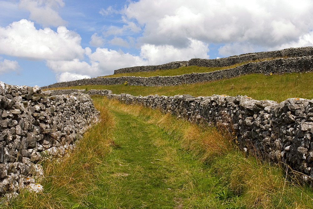 Footpath on the Dales Way, Grassington, Yorkshire Dales National Park, North Yorkshire, England, United Kingdom, Europe