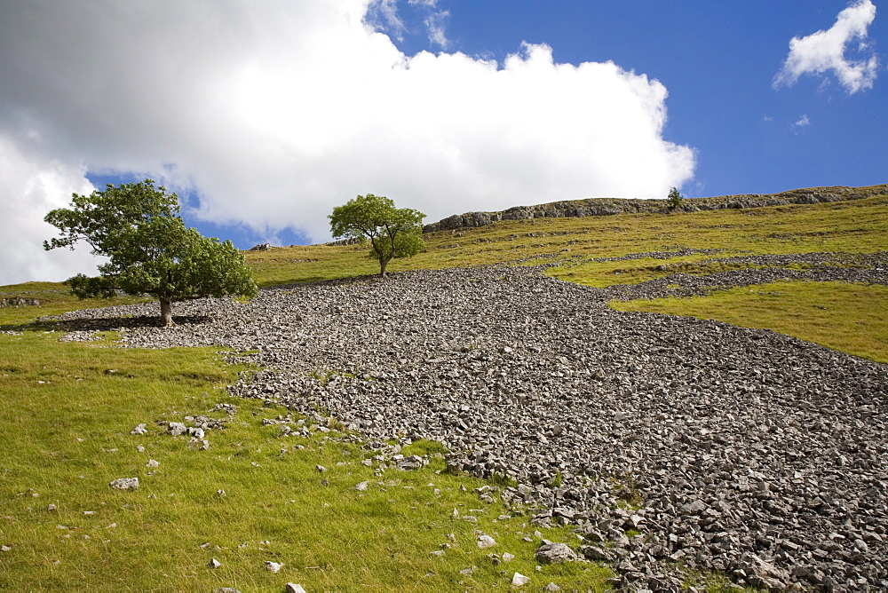 Scree slope and limestone vale, near Conistone, Yorkshire Dales National Park, North Yorkshire, England, United Kingdom, Europe