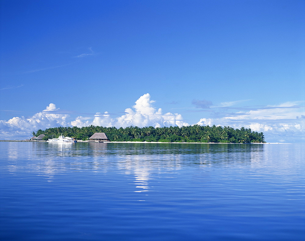 A tropical island with palm trees, surrounded by the sea in the Maldive Islands, Indian Ocean, Asia