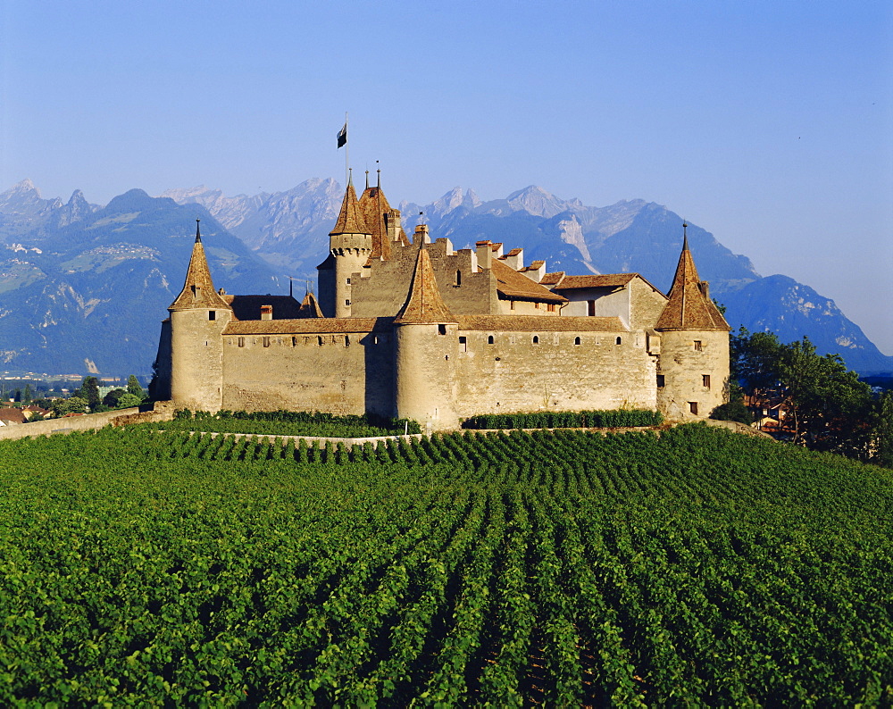 Aigle Chateau and vineyard, near Lac Leman, Switzerland