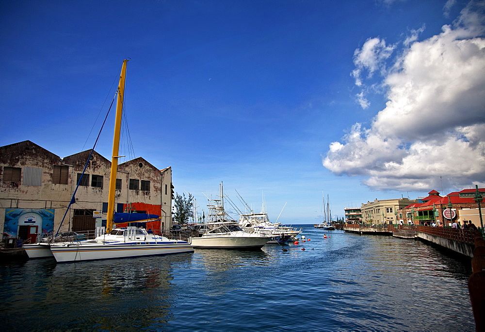 Docked yachts and sailboats at the Careenage marina, Bridgetown, Barbados, West Indies, Caribbean, Central America