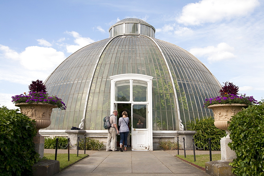 Palm House Dome, Royal Botanic Gardens, UNESCO World Heritage Site, Kew, near Richmond, Surrey, England, United Kingdom, Europe