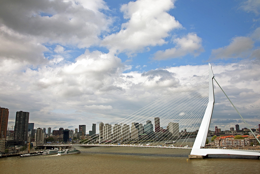 The Erasmus Bridge (The Swan) across the New Meuse River, Rotterdam, Netherlands, Europe