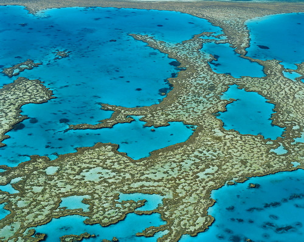 The Great Barrier Reef, Queensland, Australia