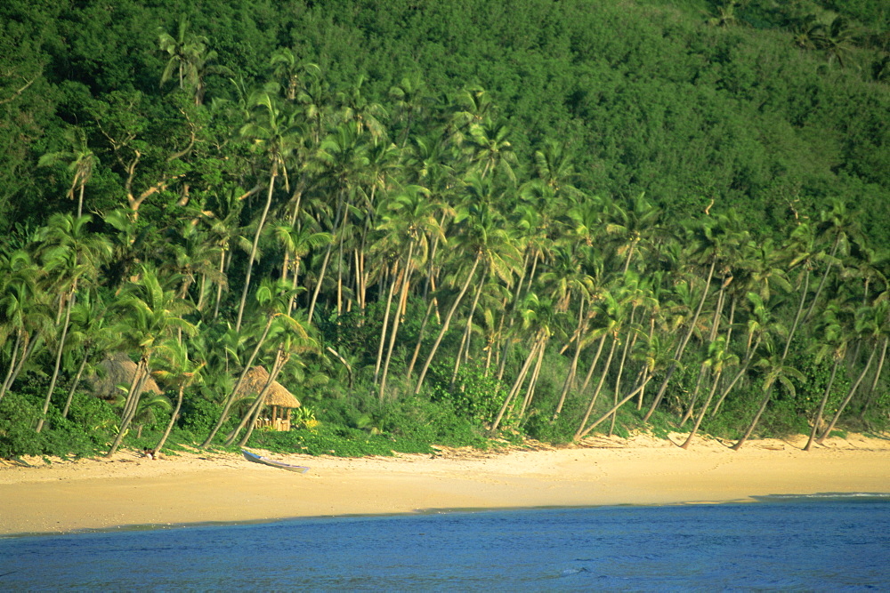 Beach and coast, Waya Island, Yasawa group, Fiji, South Pacific islands, Pacific