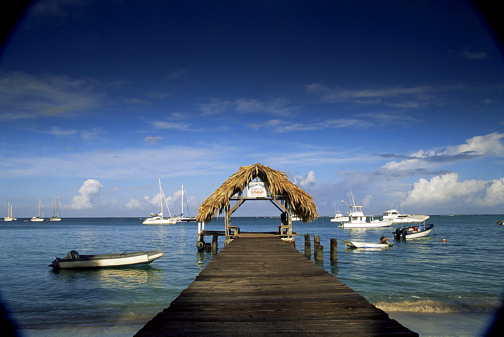 The jetty, Pigeon Point, Tobago, West Indies, Caribbean, Central America