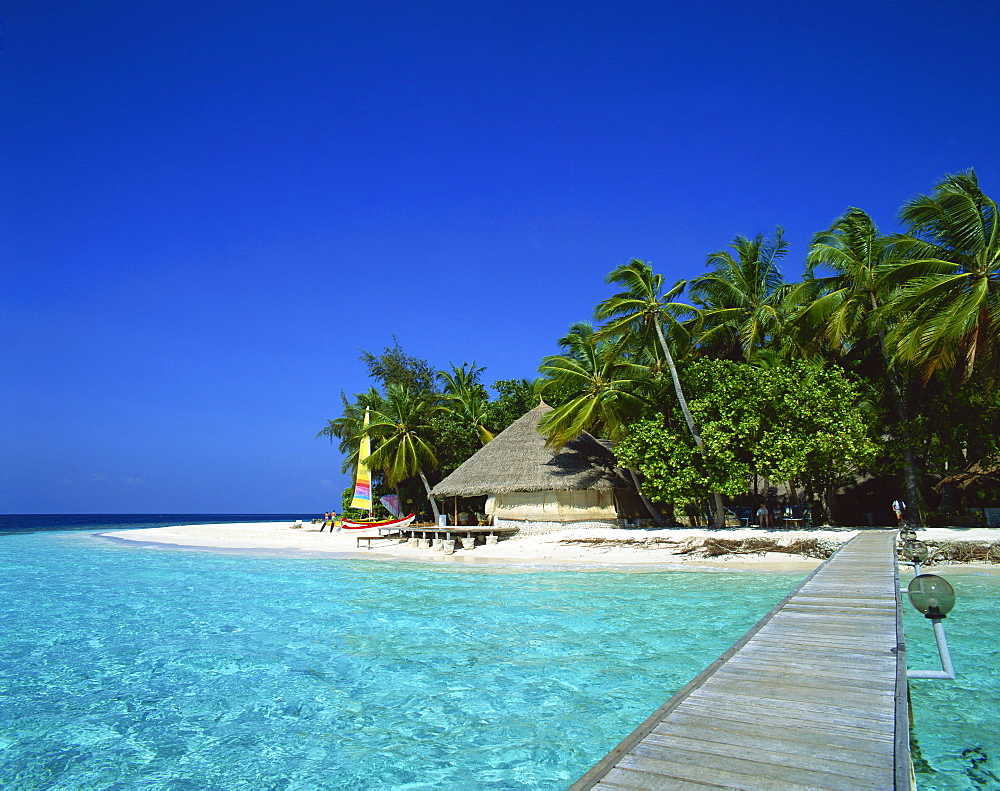 A tropical beach with palm trees in the Maldive Islands, Indian Ocean, Asia