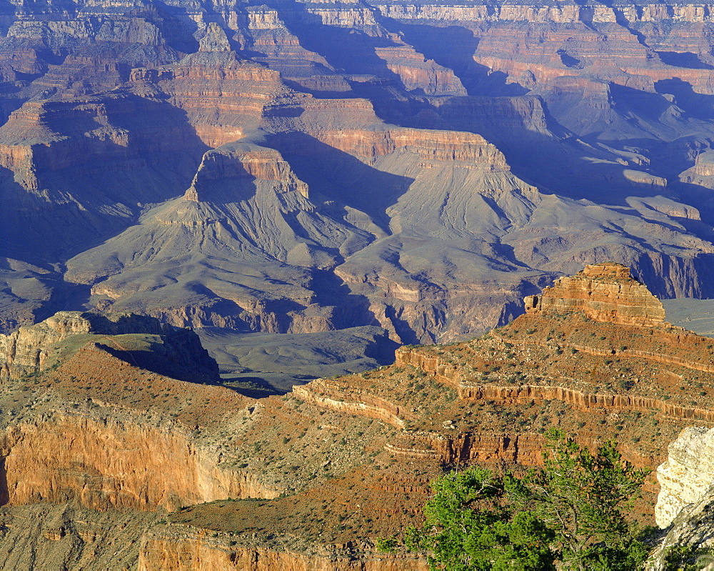 The Grand Canyon viewed from Mather Point, UNESCO World Heritage Site, Arizona, United States of America, North America