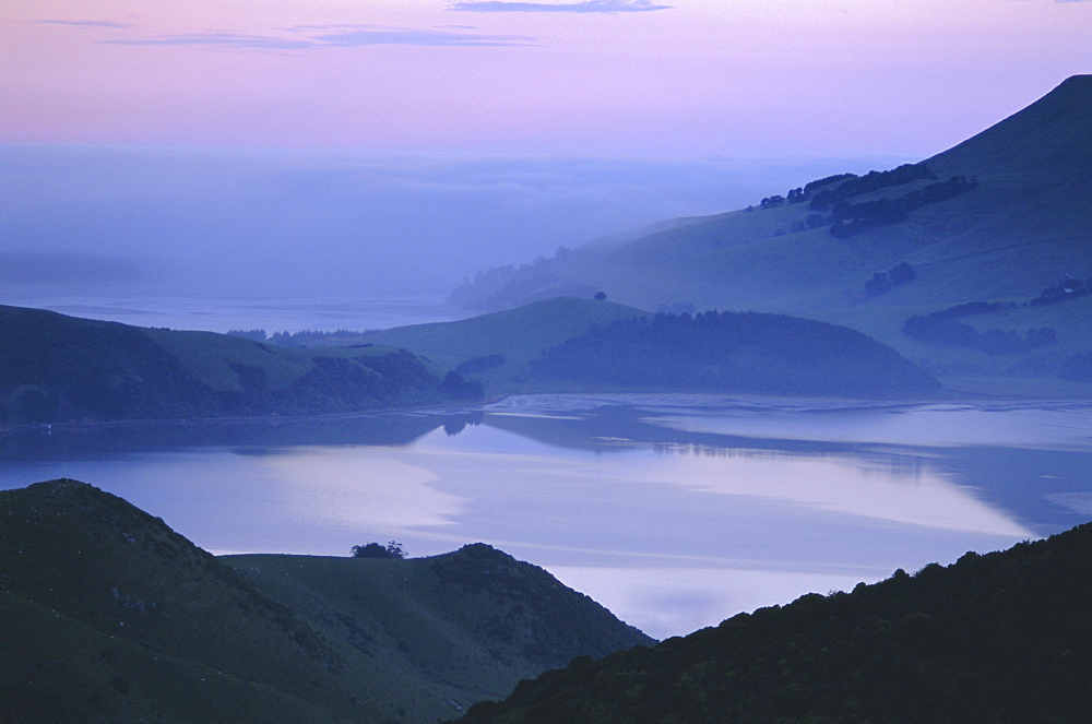 Dunedin area, Otago Peninsula, Otago, South Island, New Zealand