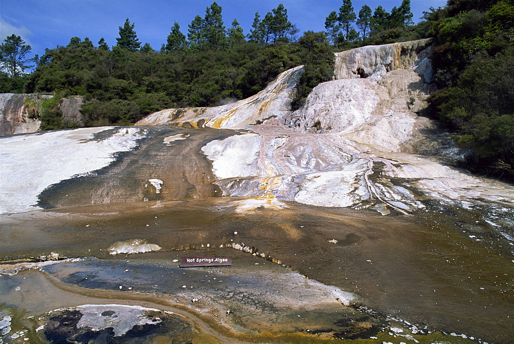 Cascade Terrace at Orakei Korako Thermals in the North Island of New Zealand, Pacific