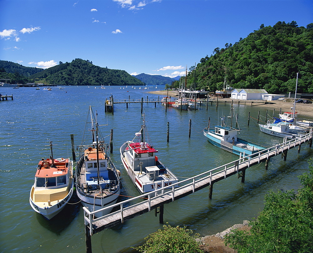 A. S. Echo and pleasure craft in Picton Harbour at the entrance to Queen Charlotte Sound, Marlborough, South Island, New Zealand, Pacific